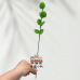 40 PCS * Handmade Pipe Cleaner Green Eucalyptus Leaves Artificial Simulation Indoor Home Desktop Party Wedding Decor