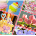 Blue Pipe Cleaners,500pcs in 5 Colors, Chenille Stems for Art and Craft Projects, Flower DIY Decorations