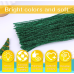 100 Pieces Pipe Cleaners Chenille Stem, Glitter Green Red Glod Silver Pipe Cleaners Set for Pipe Cleaners DIY Arts Crafts Decorations, Chenille Stems Pipe Cleaners