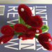 2 PCS * Handmade Pipe Cleaner Red Love Heart Green Leaves with Flowers Potted Plant Artificial Simulation Flowers Indoor Home Desktop Party Wedding Decor 
