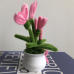 2 PCS * Handmade Pipe Cleaner Pink Love Heart Green Leaves with Flowers Potted Plant Artificial Simulation Flowers Indoor Home Desktop Party Wedding Decor 
