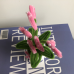 2 PCS * Handmade Pipe Cleaner Pink Love Heart Green Leaves with Flowers Potted Plant Artificial Simulation Flowers Indoor Home Desktop Party Wedding Decor 