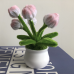 2 PCS * Handmade Pipe Cleaner White & Pink Flower Buds Green Leaves with Flowers Potted Plant Artificial Simulation Flowers Indoor Home Desktop Party Wedding Decor 