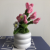 Handmade Pipe Cleaner White Daisy Flower Pink Love Heart Green Leaves with Flowers Potted Plant Artificial Simulation Flowers Indoor Home Desktop Party Wedding Decor 