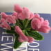 Handmade Pipe Cleaner Pink Love Hearts Green Leaves with Flowers Potted Plant Artificial Simulation Flowers Indoor Home Desktop Party Wedding Decor 