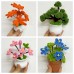 Lucky Scoop For Pipe Cleaner Crafts-Pack On Live -Multi Category--3 Scoops