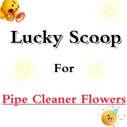 Lucky Scoop For Pipe Cleaner Flower Bouquet-Pack On Live -multi Category-1 Scoop