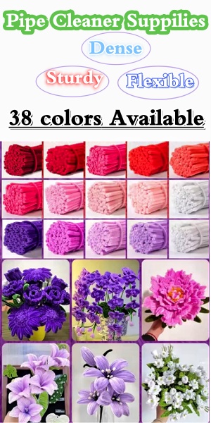 Pipe Cleaner Supplies