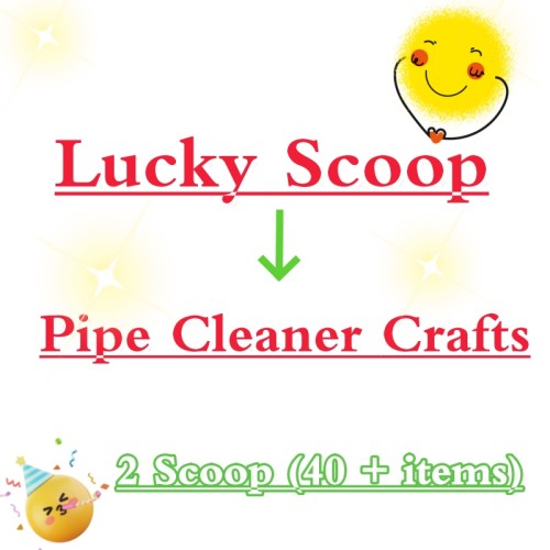 Lucky Scoop For Pipe Cleaner Crafts-Pack On Live -Multi Category--2 Scoops