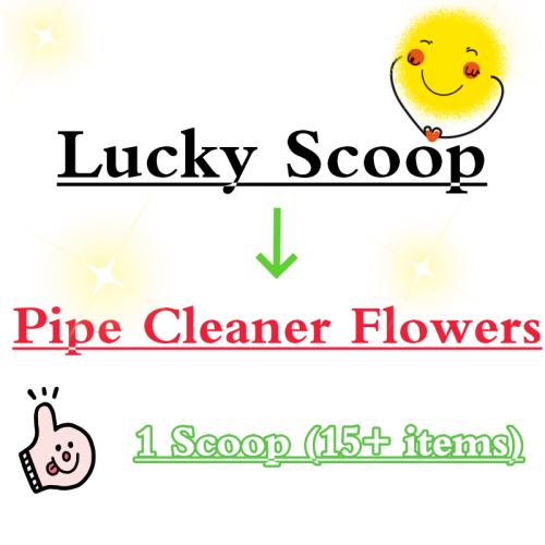 Lucky Scoop For Pipe Cleaner Flower Bouquet-Pack On Live -multi Category-1 Scoop