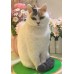 Pet Portraits Full Body | PetsMatter Handmade 3D Wool Needle Felt Pet Portraits Full Body | PetsMatter