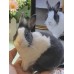 Pet Portraits Full Body | PetsMatter Handmade 3D Wool Needle Felt Pet Portraits Full Body | PetsMatter