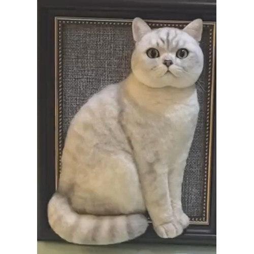 Head & Paws Pet Portraits Handmade 3D Cat Wool Needle Felt Portraits with Wooden Frame | PetsMatter