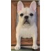 Head & Paws Pet Portraits Handmade 3D Cat Wool Needle Felt Portraits with Wooden Frame | PetsMatter Head & Paws Pet Portraits Handmade 3D Cat Wool Needle Felt Portraits with Wooden Frame | PetsMatter
