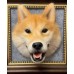 Head Pet Portraits Handmade 3D Dogs Wool Needle Felt Portraits with Wooden Frame | PetsMatter Solid&Bicolor 