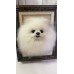 Head Pet Portraits Handmade 3D Dogs Wool Needle Felt Portraits with Wooden Frame | PetsMatter Solid&Bicolor 