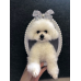 Head & Paws Pet Portraits Handmade 3D Cat Wool Needle Felt Portraits with Wooden Frame | PetsMatter