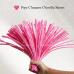 AK-07 Dark Pink Pipe Cleaners Chenille Stems Fuzzy Stick Twisting Stick DIY Art Craft Supplies Bending Wires for Kids School Education Adults Floral Arrangement
