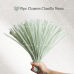 AK-52 Apple Green Pipe Cleaners Chenille Stems Fuzzy Stick Twisting Stick DIY Art Craft Supplies Bending Wires for Kids School Education Adults Floral Arrangement
