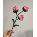 Handmade Rose Bouquet for Women’s Day | 6 Stems with Vase