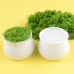 10 PCS * White Small Plant Pots, Plastic Planters for Flowers Plants, Succulents, Seed Starting Pots，Handmade Pipe Cleaner Potted Plant