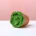 6 PCS * Brown Small Plant Pots, Plastic Planters for Flowers Plants, Succulents, Seed Starting Pots，Handmade Pipe Cleaner Potted Plant