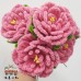 230 PCS * Pipe Cleaner Chenille Stems Handmade Peony Flower Making Kit DIY Art Flower Bouquet Craft Set Hot Glue Sticks Tape 230 PCS * Pipe Cleaner Chenille Stems Handmade Peony Flower Making Kit DIY Art Flower Bouquet Craft Set Hot Glue Sticks Tape