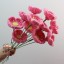 Dark Pink