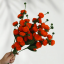 Orange Red
