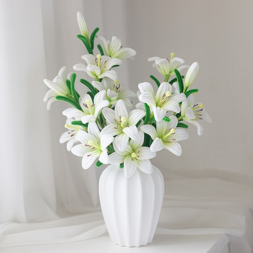 Exactly Same Lily Making Kits As Tiktok Live Streaming Fuzzy Pipe Cleaner Chenille Stems DIY Craft Supplies For Lily