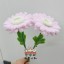 Macaron Pink