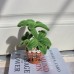 30 PCS * Pipe Cleaner Chenille Stems Handmade Money Tree Potted Plant Making Kit DIY Art Flower Bouquet Craft Set