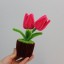 Hot Pink