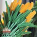 30 PCS * Pipe Cleaner Chenille Stems Handmade Wheat Making Kit DIY Art Flower Bouquet Craft Set