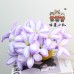 12 PCS * Handmade Pipe Cleaner Bicolor Lily Flower Artificial Simulation Flower Indoor Home Desktop Party Wedding Decor 
