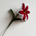 Exactly Same Lily Making Kits As Tiktok Live Streaming Fuzzy Pipe Cleaner Chenille Stems DIY Craft Supplies For White & Red Lily Exactly Same Lily Making Kits As Tiktok Live Streaming Fuzzy Pipe Cleaner Chenille Stems DIY Craft Supplies For White & Red Lily