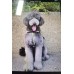 Pet Portraits Full Body | PetsMatter Handmade 3D Wool Needle Felt Pet Portraits Full Body | PetsMatter 8-10 inch