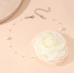 Gothic White Rose Flower Clavicle Chain Necklace for Women Adjustable Sexy Choker Mariage Jewelry Gift Fashion Accessories