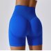 Blue Women Sports Shorts High Waist Yoga Shorts Slim Fit Butt Lift Gym Running High Elastic Biker Shorts Blue Women Sports Shorts High Waist Yoga Shorts Slim Fit Butt Lift Gym Running High Elastic Biker Shorts