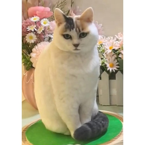 Pet Portraits Full Body | PetsMatter Handmade 3D Wool Needle Felt Pet Portraits Full Body | PetsMatter
